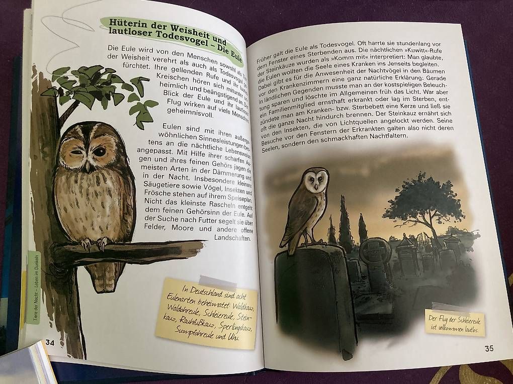 Libri: Abenteuer Nachtwanderung – Usato da Bellach venduto da lia_26tj 1