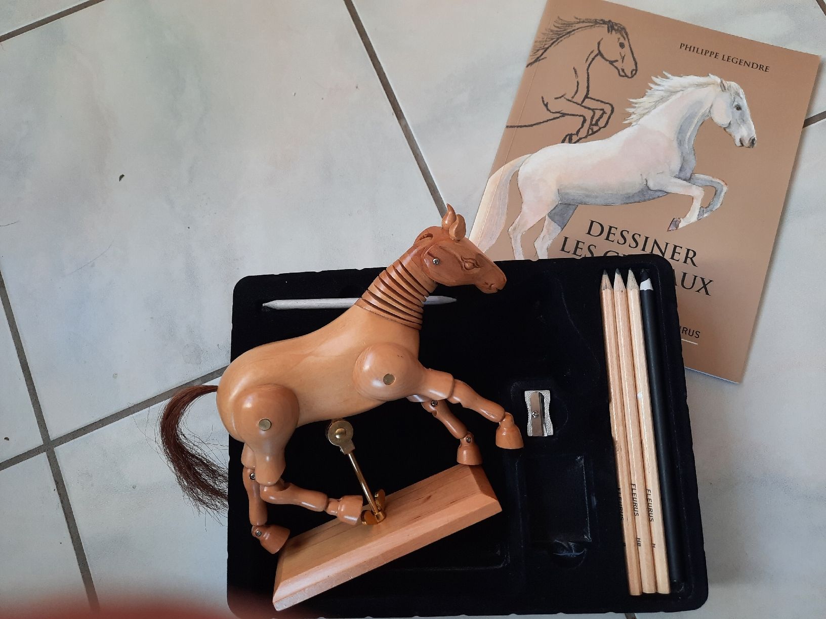 Giocattoli: DESSINER LES CHEVAUX – Usato da Le Locle venduto da marylise01