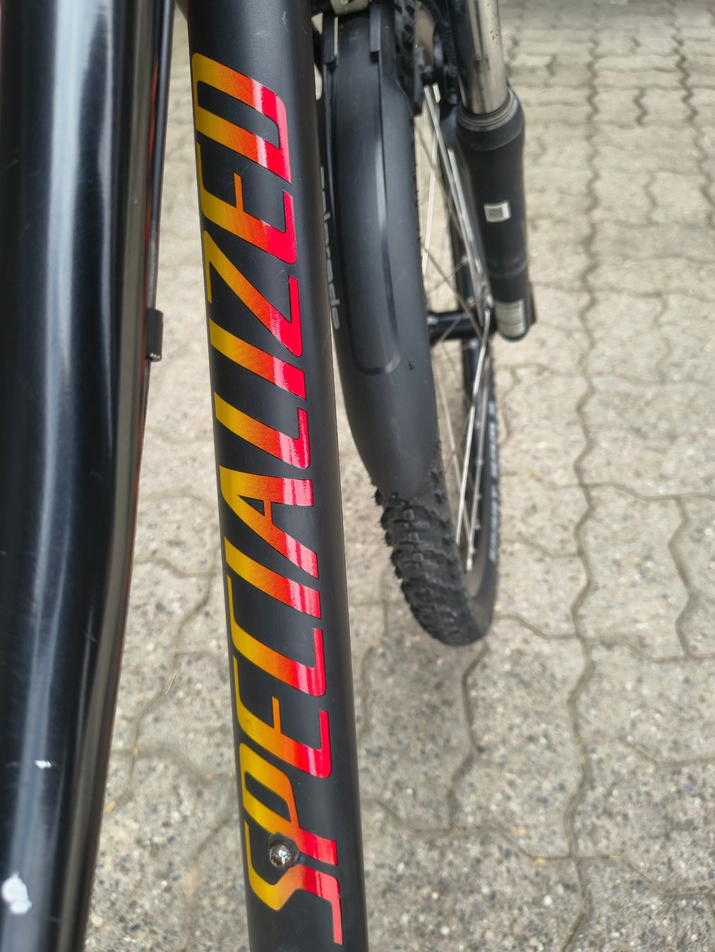 Specialized Velos: Fahrrad SPECIALIZED 24 Zoll – Gebraucht aus Bern von BaumannBern 2