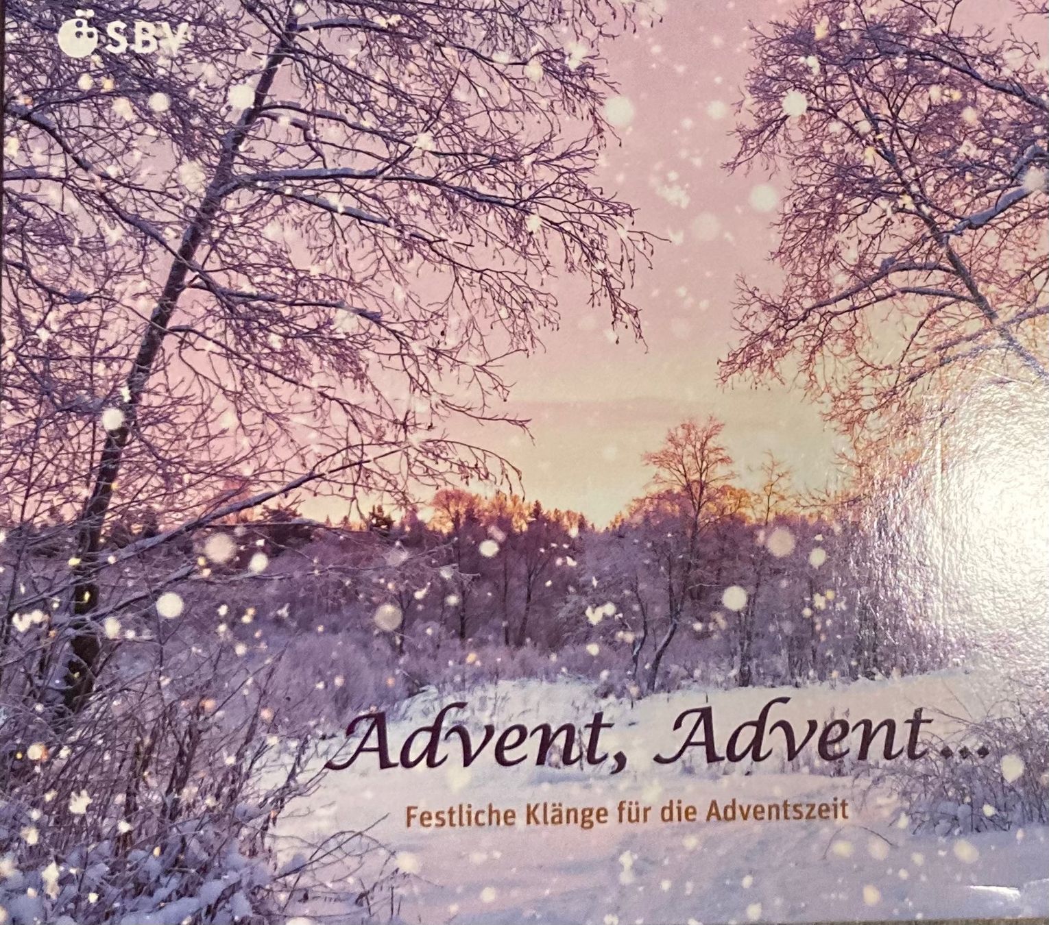 CD: Advent, advent – Usato da Horn venduto da enigma66