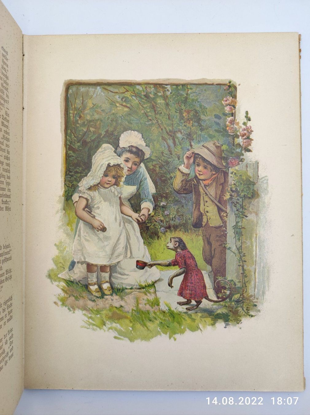 Bücher: KINDERBUCH  - WAS MAN IM WALDE HÖRT – Gebraucht aus Goldach von Gaip 1