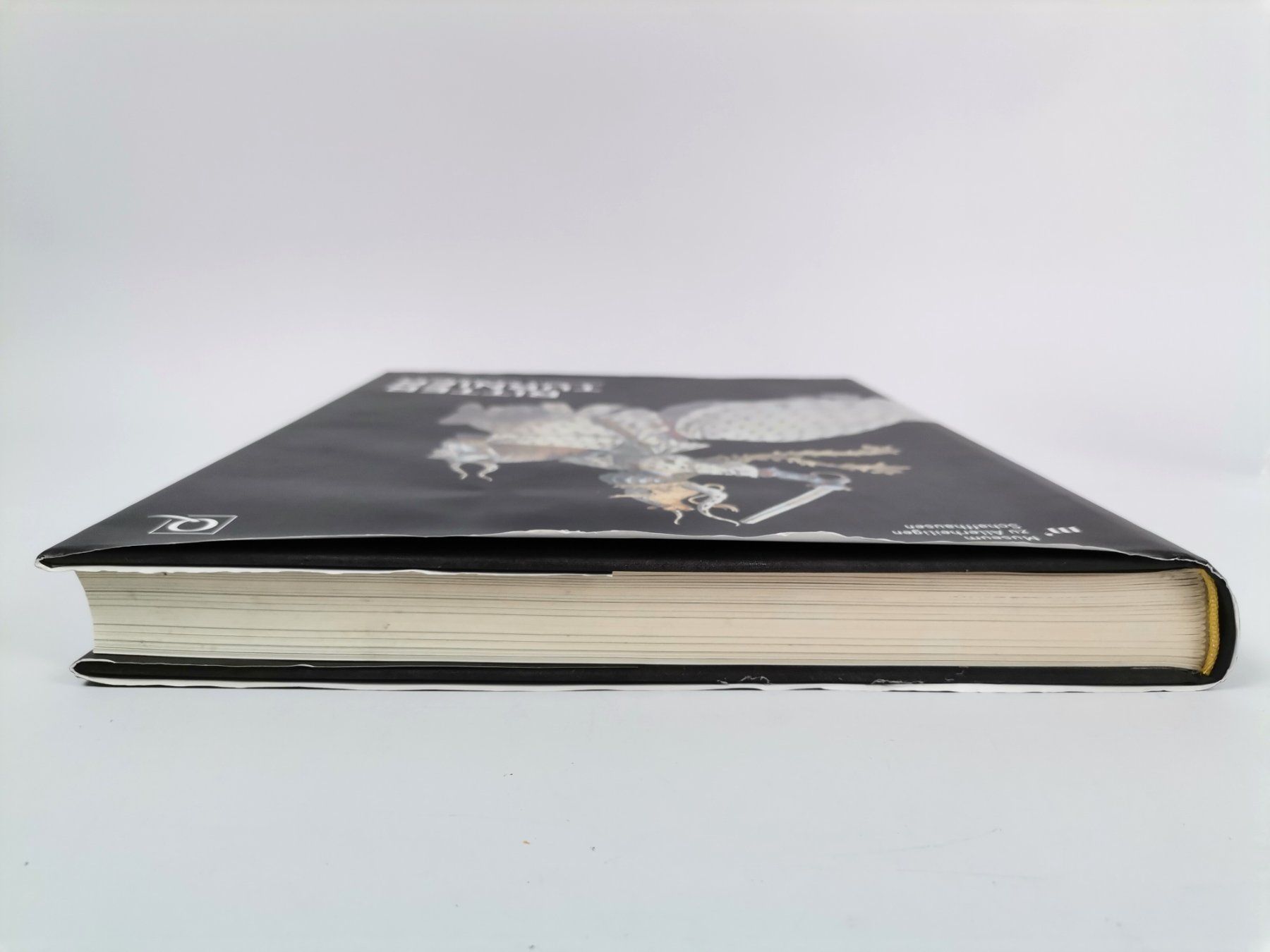 Libri: BUCH Ritter Turnier - Geschichte einer Festkultur – Usato da Schaffhausen venduto da Restwert_SH 5