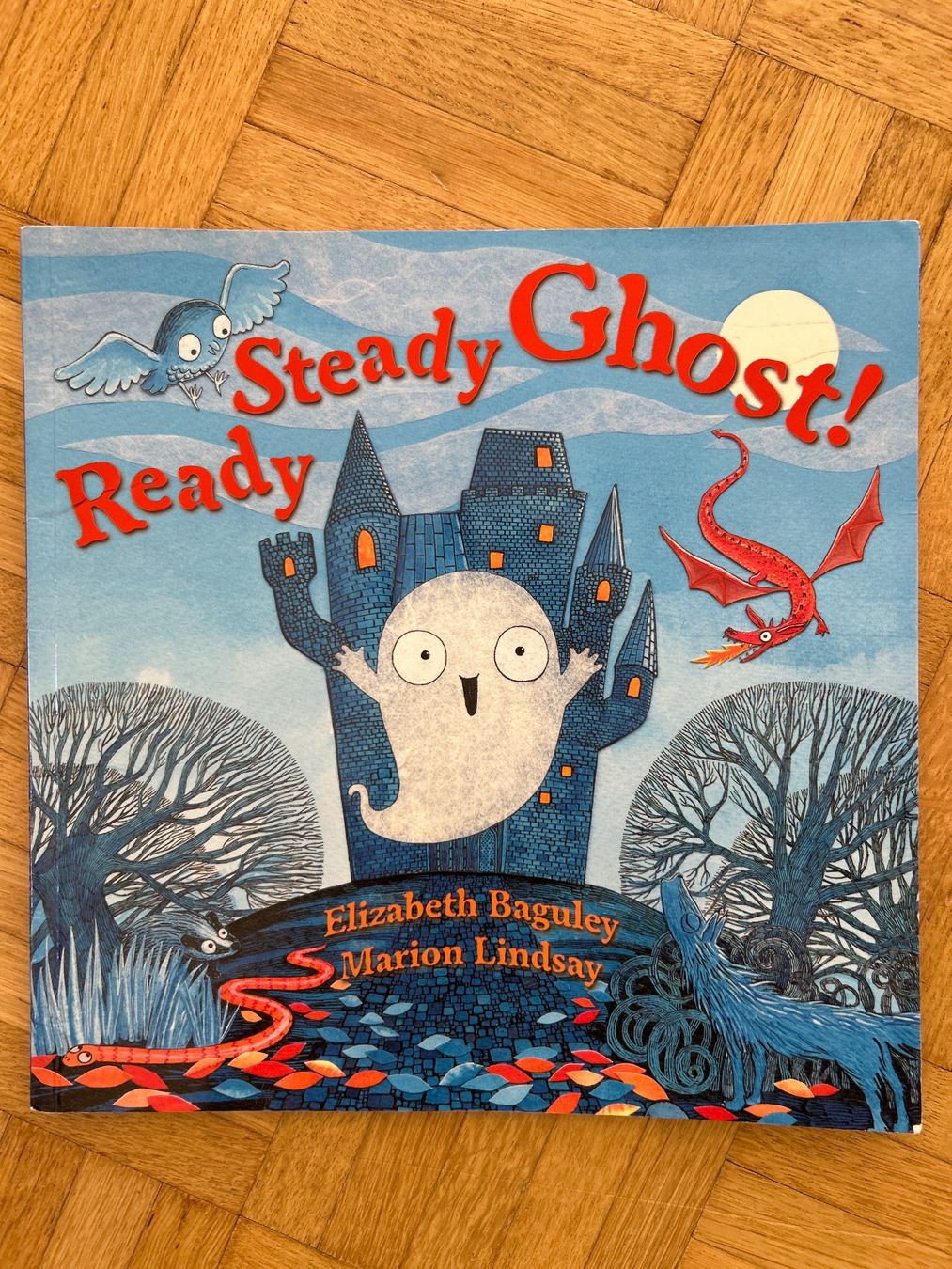 Libri: Steady Ghost, Ready Ghost! by Elizabeth Baguley Book – Usato da Horw venduto da ark_j8jj