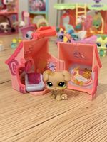 Chiot Littlest Pet Shop