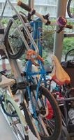 Wolfbike Kids Bicycle - Blue