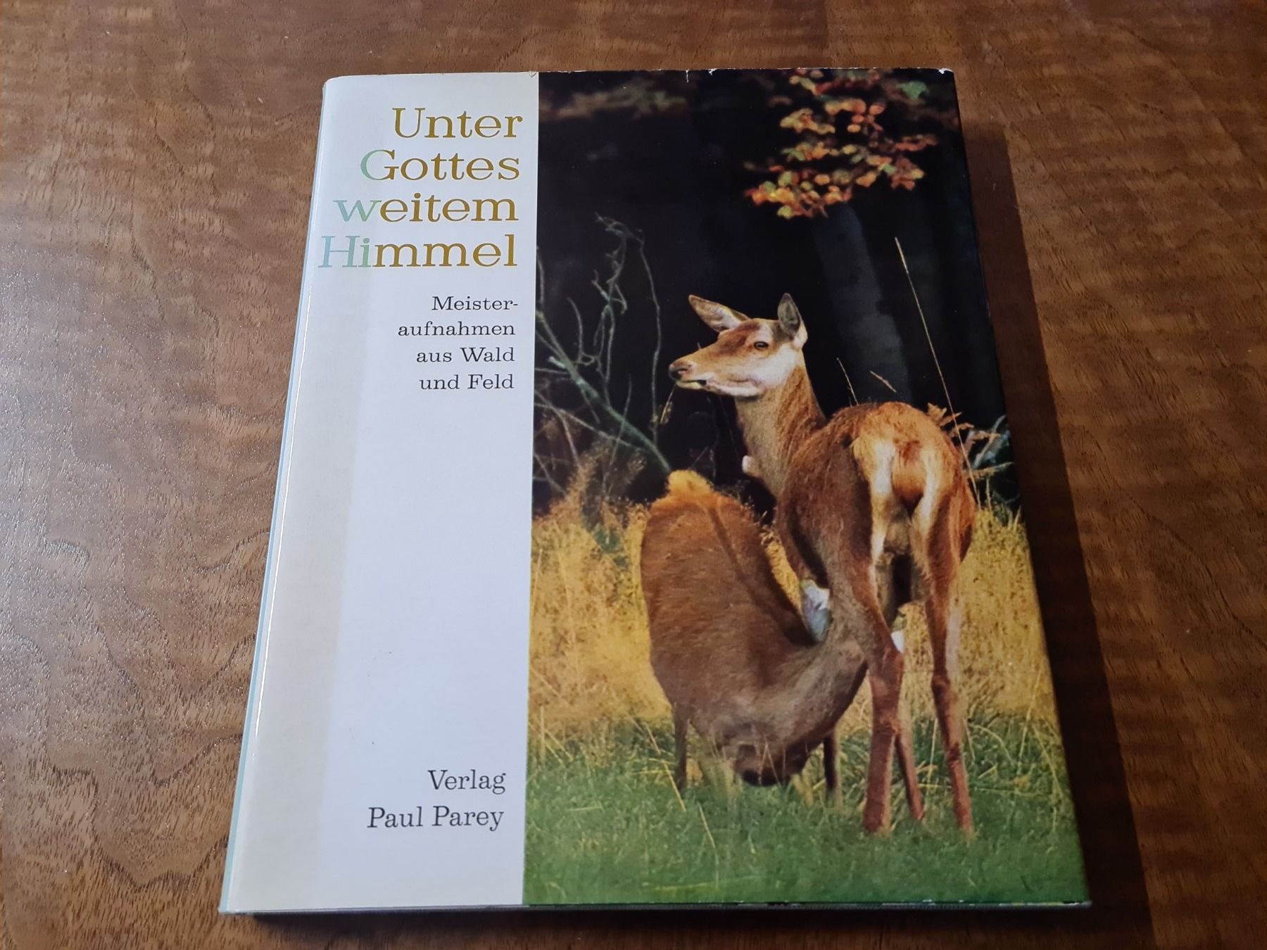 Libri: Unter Gottes weitem Himmel – Usato da Erstfeld venduto da Uhu1980