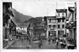 Depart des Chevres a Salvan - Ziegen