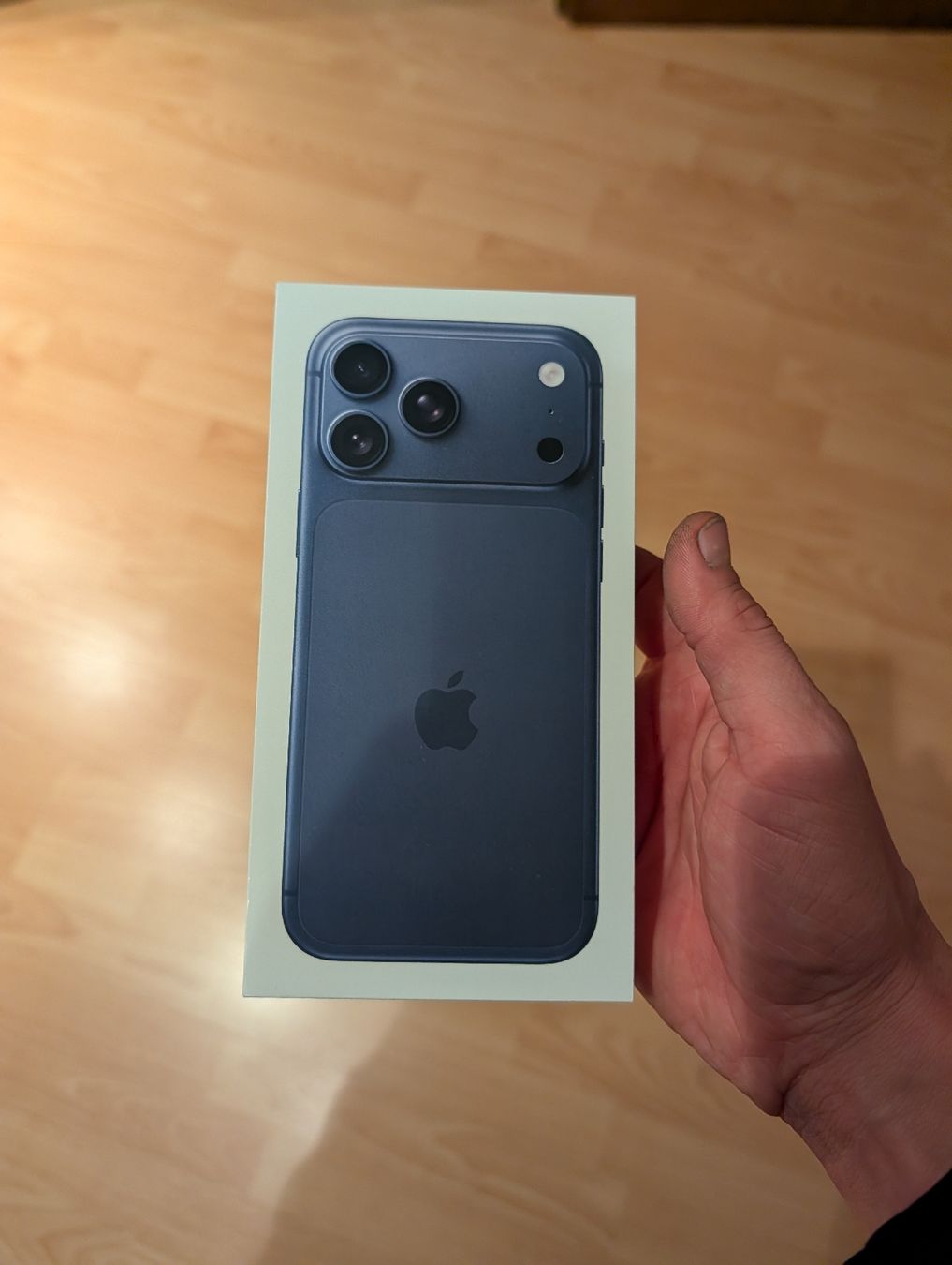 Apple Portables: Iphone 17 Pro Max – Neuf (Voir description) à Eglisau par T.K.. 2