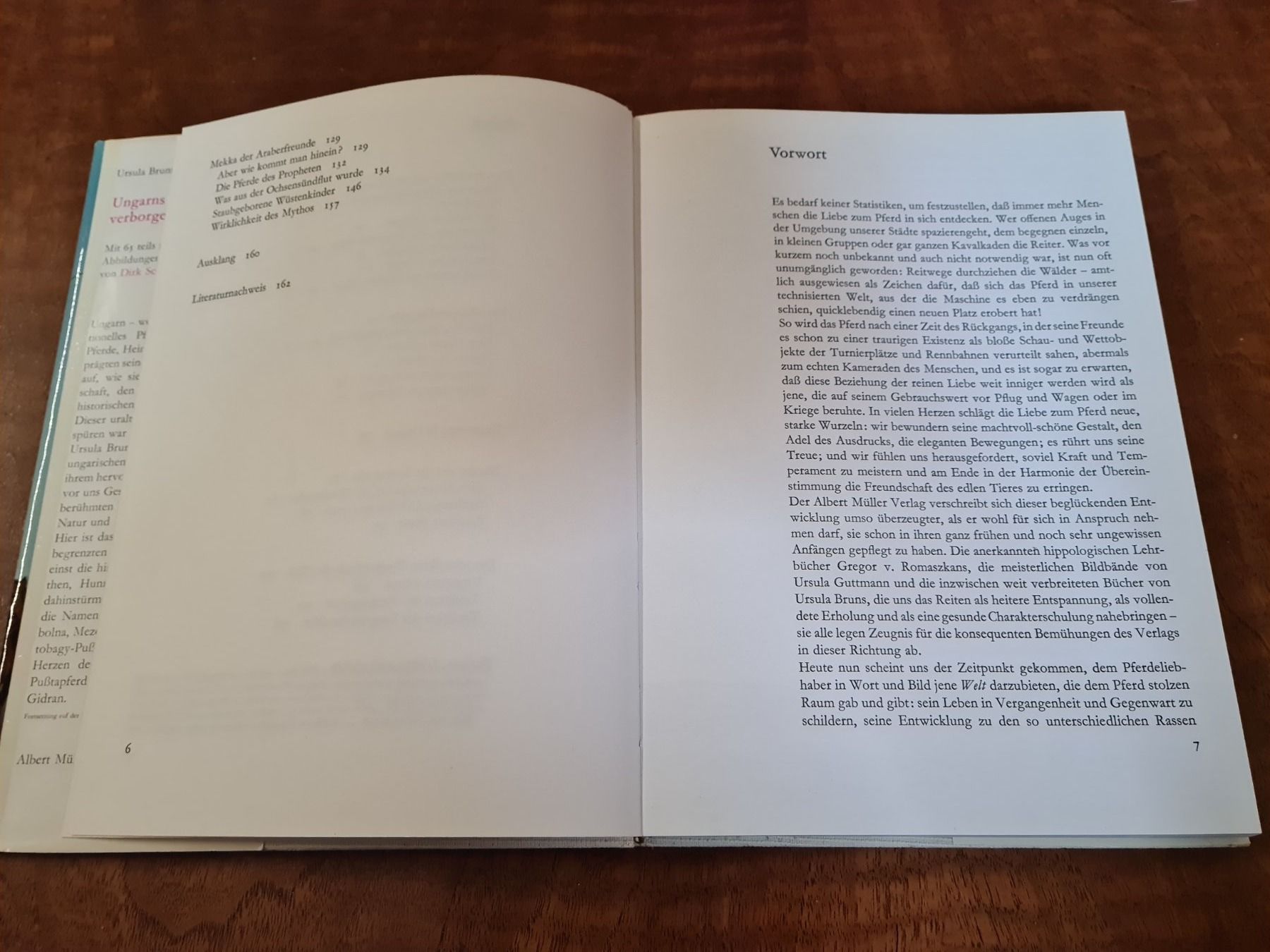 Libri: Ungarns verborgene Helden – Usato da Erstfeld venduto da Mario_boe0 2