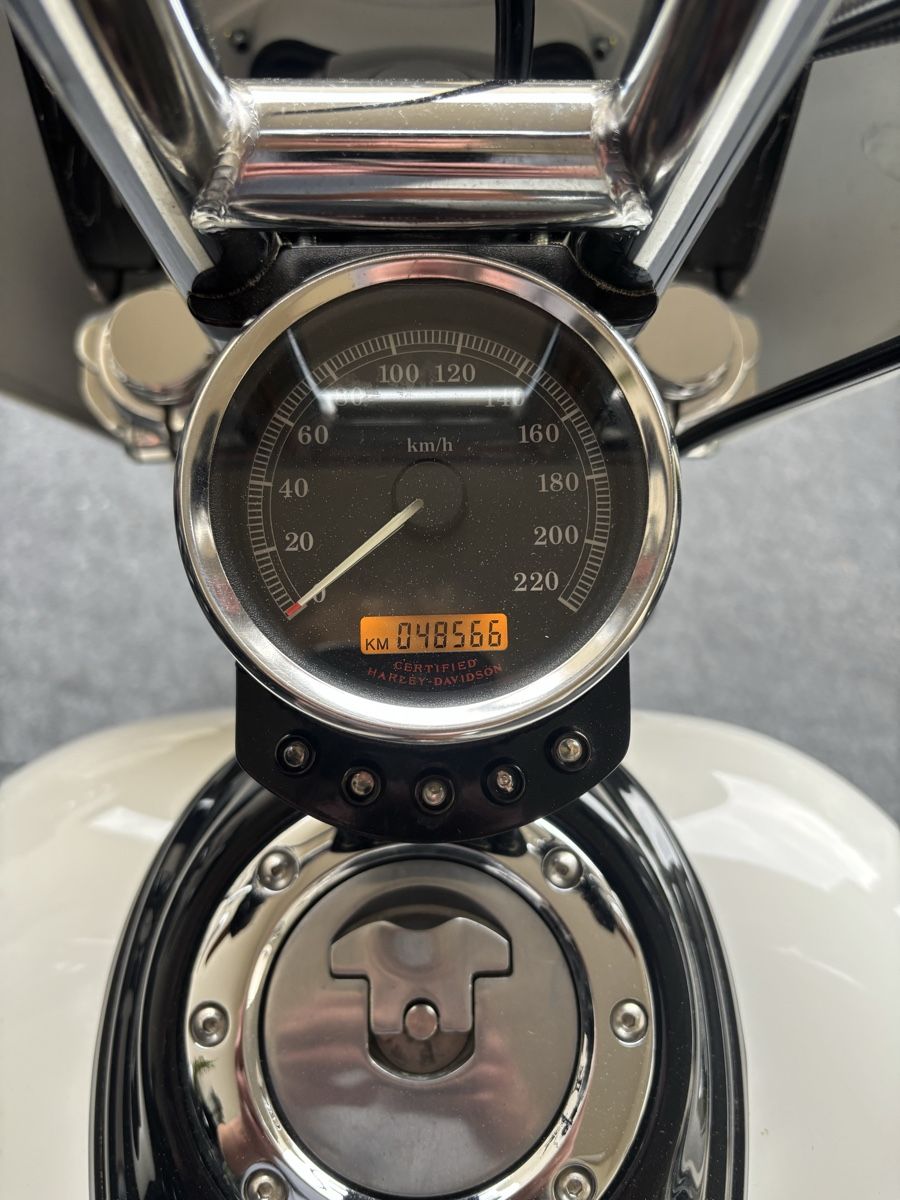 Chopper: HARLEY-DAVIDSON Dyna FXDCI – Usato da Thürnen venduto da MadDave 3