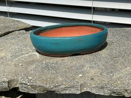 Bonsai Schale ab Fr. 1.—