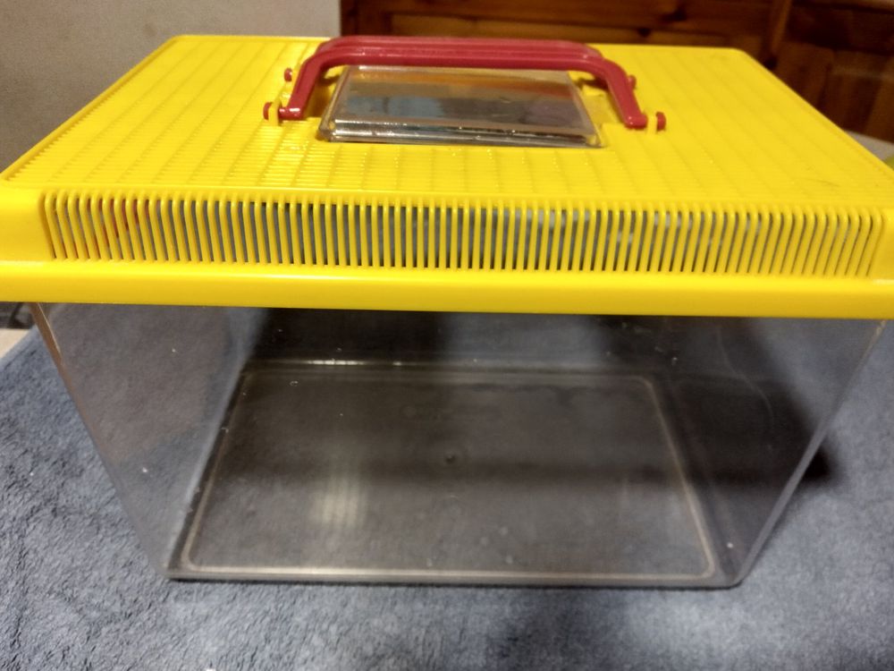 Transportbox für Ratten, Mäuse,oder Hamster (Gebraucht) in ...