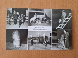 Ansichtskarte Hagenbecks Tierpark 1957
