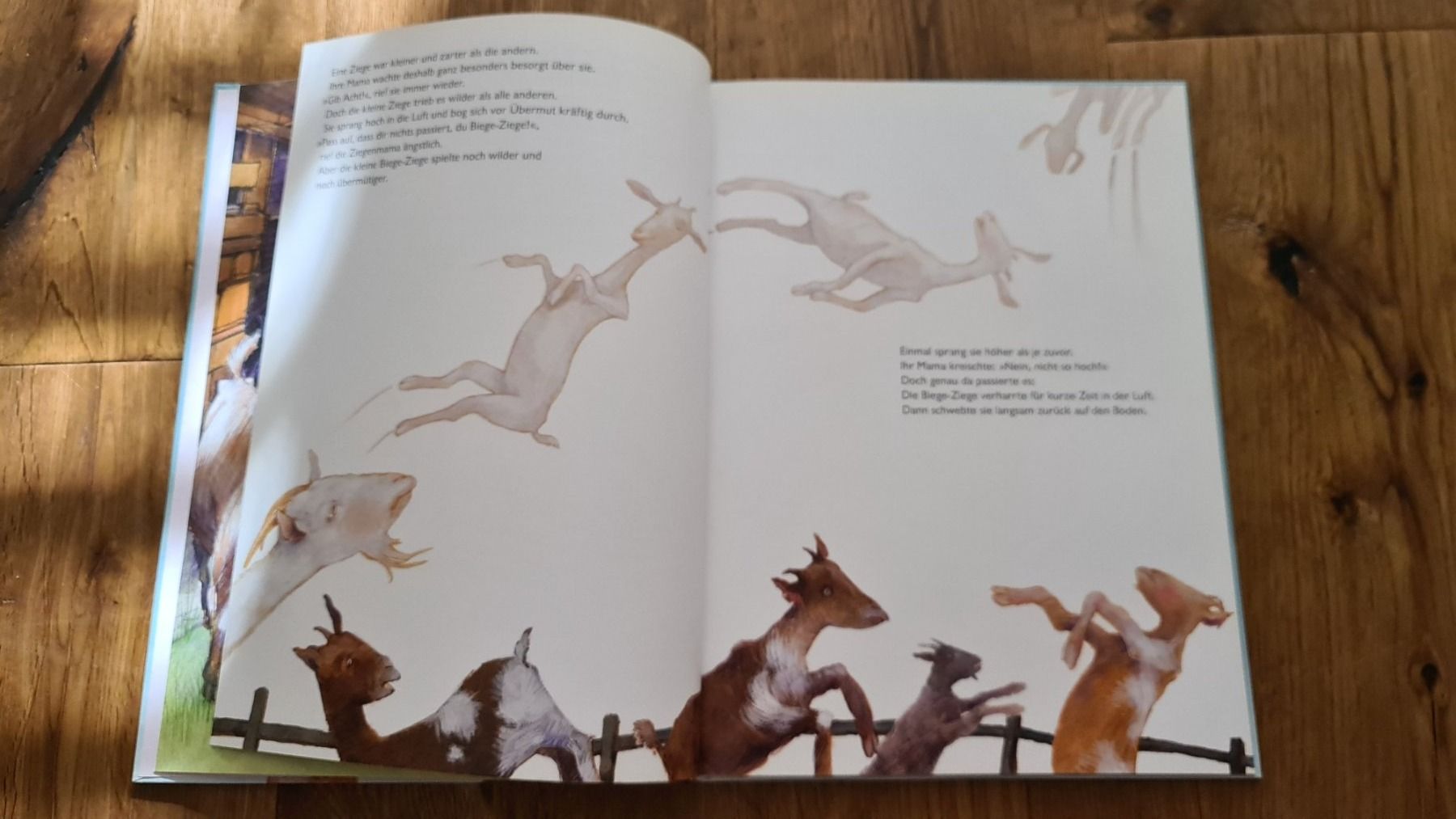 Libri: Buch Die fliege ziege – Usato da Wittenbach venduto da Tigerlili 3