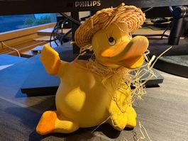 Ente