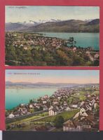 Männedorf  ZH   :   alte Ansichtskarte gest. 1921