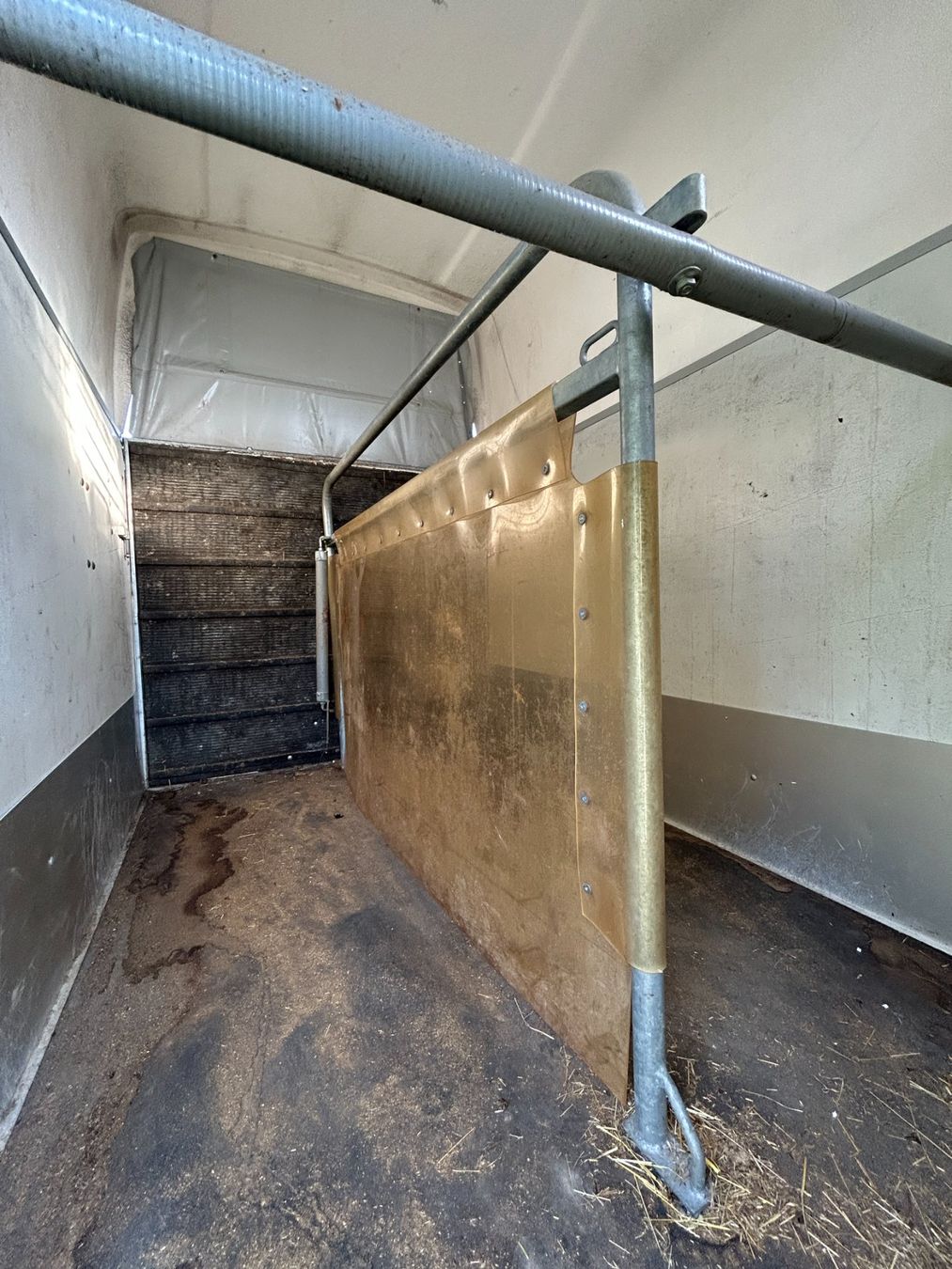 Humbaur Anhänger: Pferdeanhänger – Gebraucht aus Adlikon von 9314cornelia 3