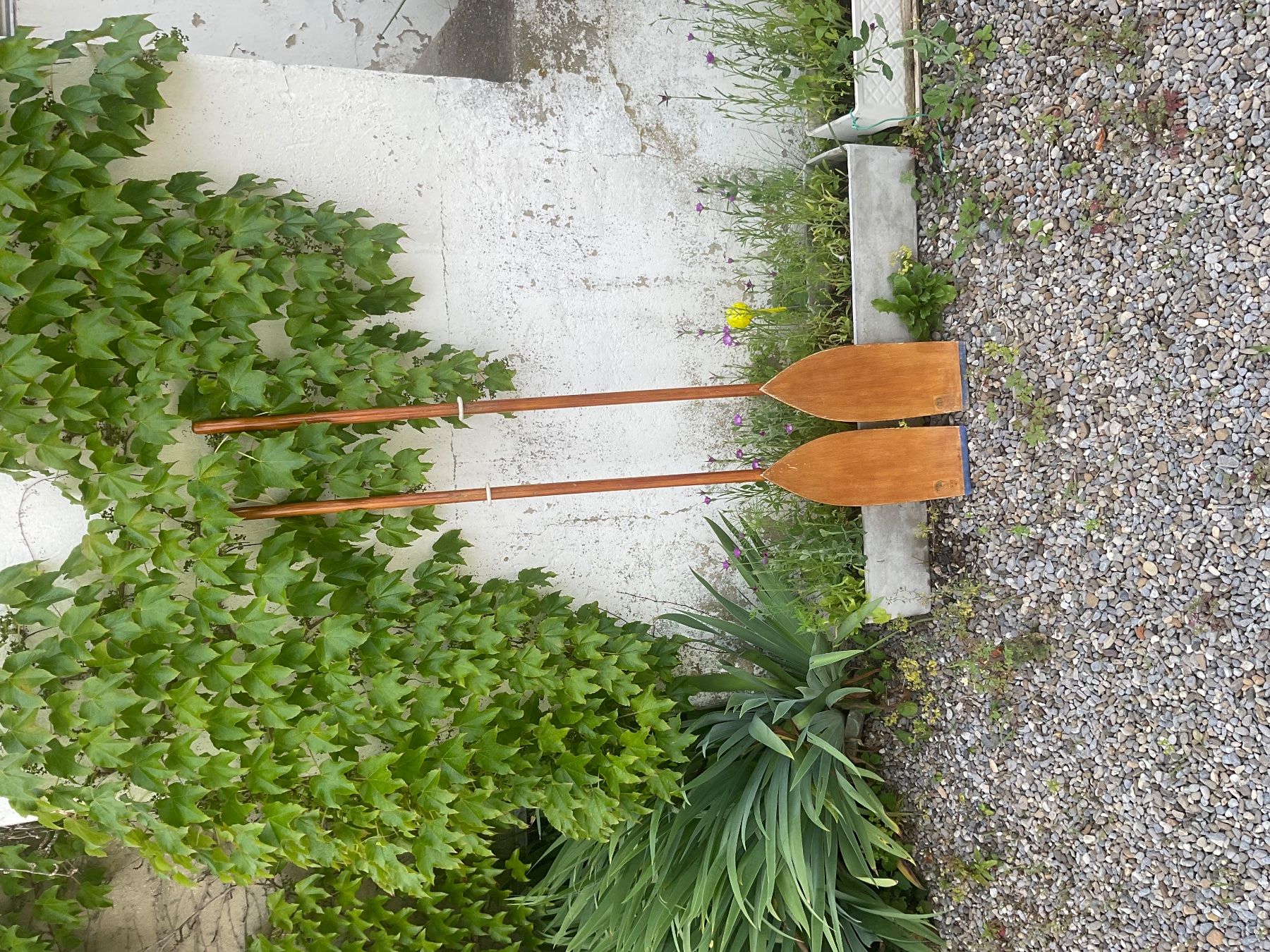Boote: Paddel Deko Ruderpaddel Holzpaddel – Gebraucht aus Aarau von  7