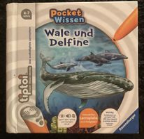 Tiptoi Buch Pocket Wissen Wale und Delfine 4-7 Jahre