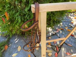 schöner Vorführzaum / Vorführhalfter aus Leder