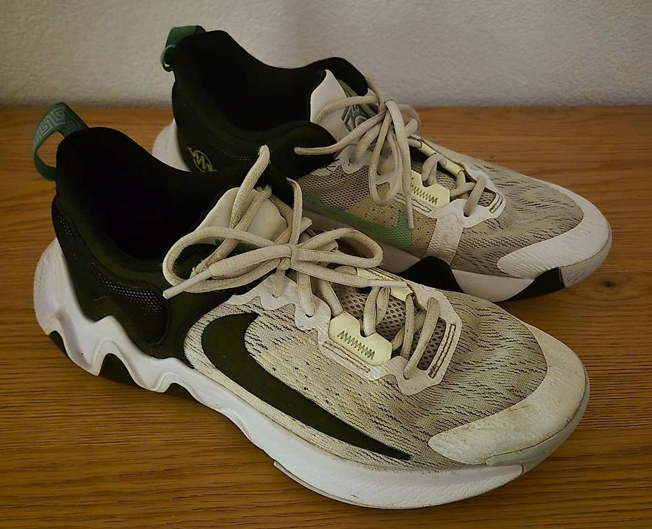 Nike Scarpe da uomo: Nike Giannis 2 Ep g.42 – Usato da Basel venduto da SwissVault