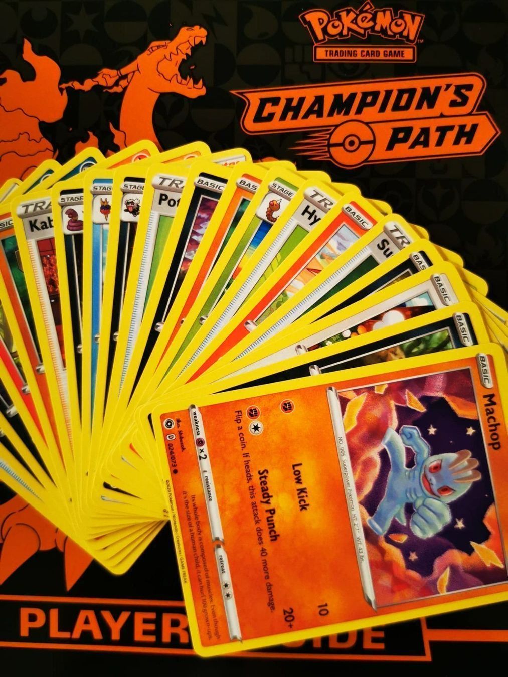 Pokémon Carte collezionabili: 20 Champions Path Common Karten zufällig – Nuovo (secondo la descrizione) da Opfikon venduto da Yoshis_World 1