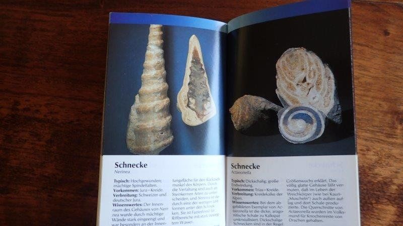 Bücher: Fossilien Bücher/Hefte – Gebraucht aus Rickenbach BL von Oktober68 5