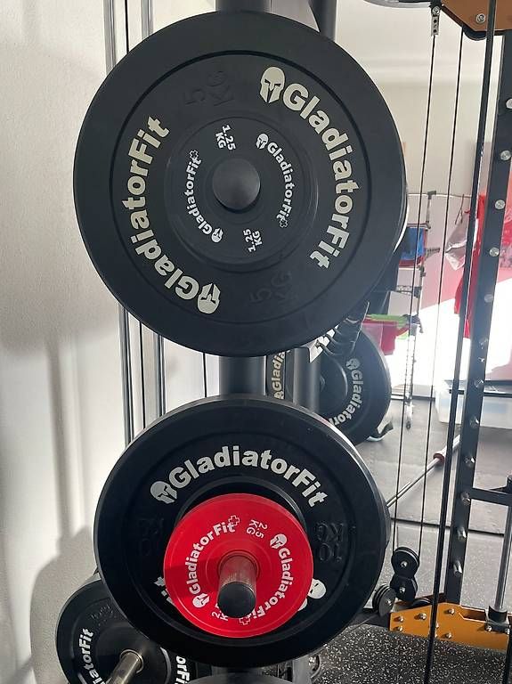 Hanteln & Gewichte: GladiatorFit Hantelscheiben / Bumper Plates Ø51 mm – Gebraucht aus Chur von fabianvenzin 1
