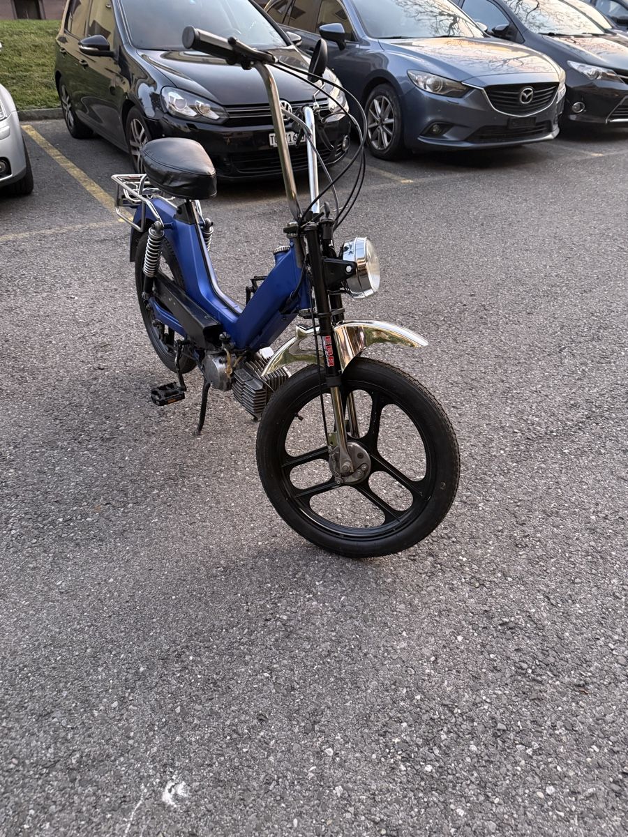 KTM Mofas: KTM Pony GP40 Mofa – Gebraucht aus Arbon von anj_v9bw