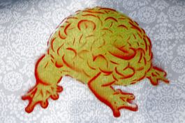 KAZOTO SHINTO (Japan, *1960) Künstlerhirn / Artist Brain