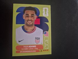 Panini WM 26 USA 8