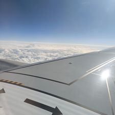 Profile image of Mklotz