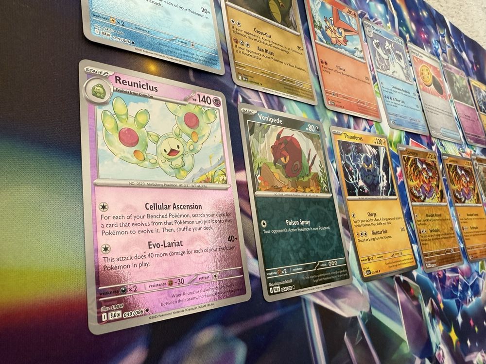 Pokemon Black and white Pulk Reverse und holos eng 13 Karte (Gebraucht ...