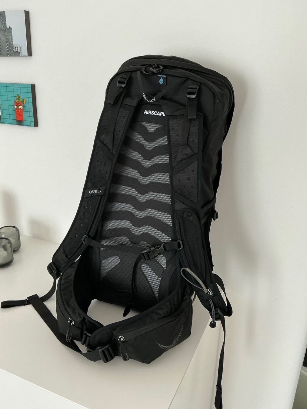 Osprey Zaini: Osprey Talon 18 Rucksack – Usato da Zollikon venduto da halbkarat 1
