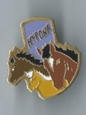 Placchette & Badge: Tiere   Pin – Usato da Zürich venduto da t24_de