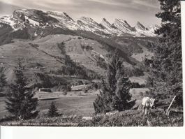 Iltios 1949