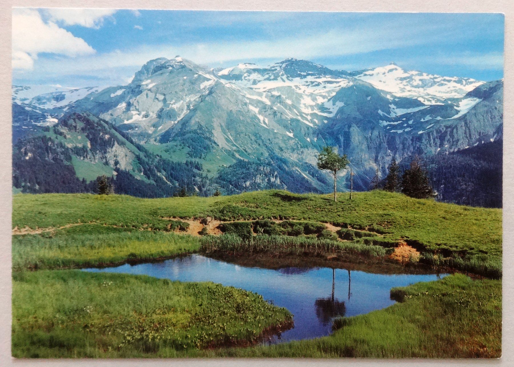 Cartoline postali: Am Weg Lenk-Betelberg – Usato da Fétigny venduto da Billy2miny