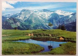 Am Weg Lenk-Betelberg