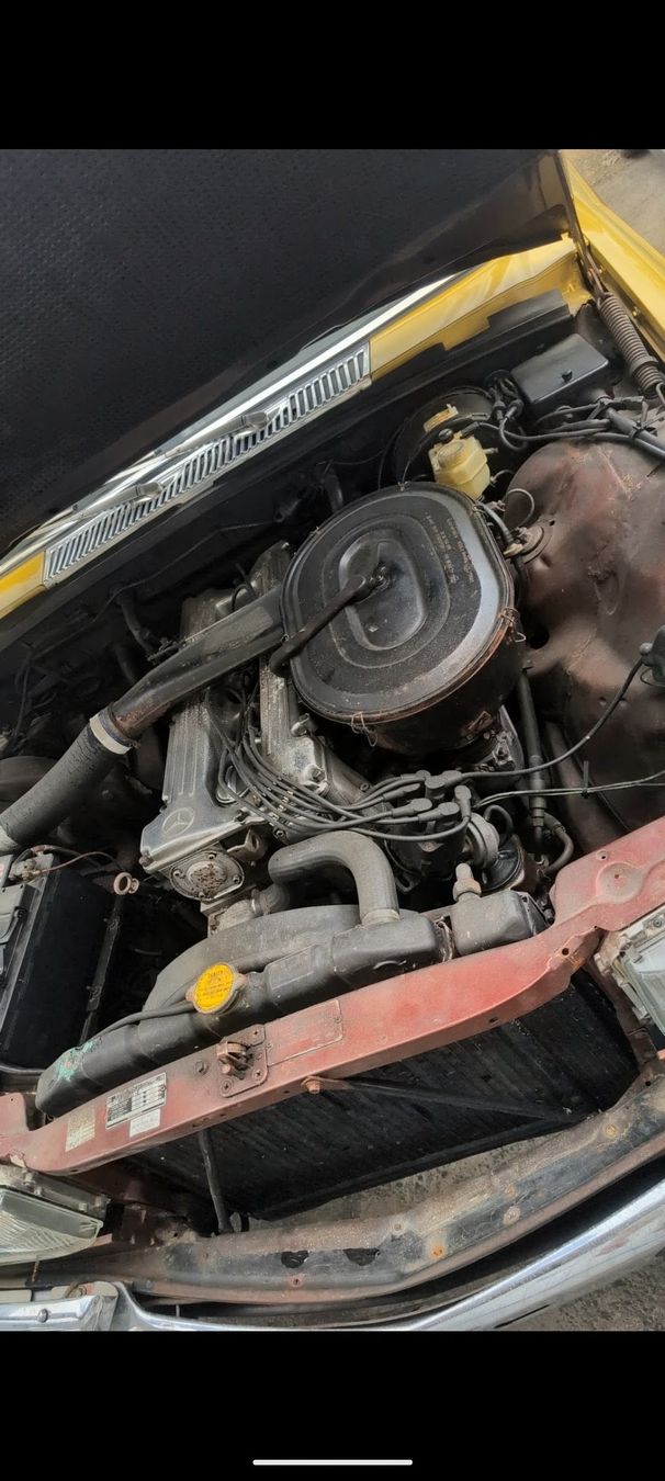 Mercedes-Benz Autos: Mercedes Benz 280 – D'occasion à Rorschacherberg par mar_l7wd 3