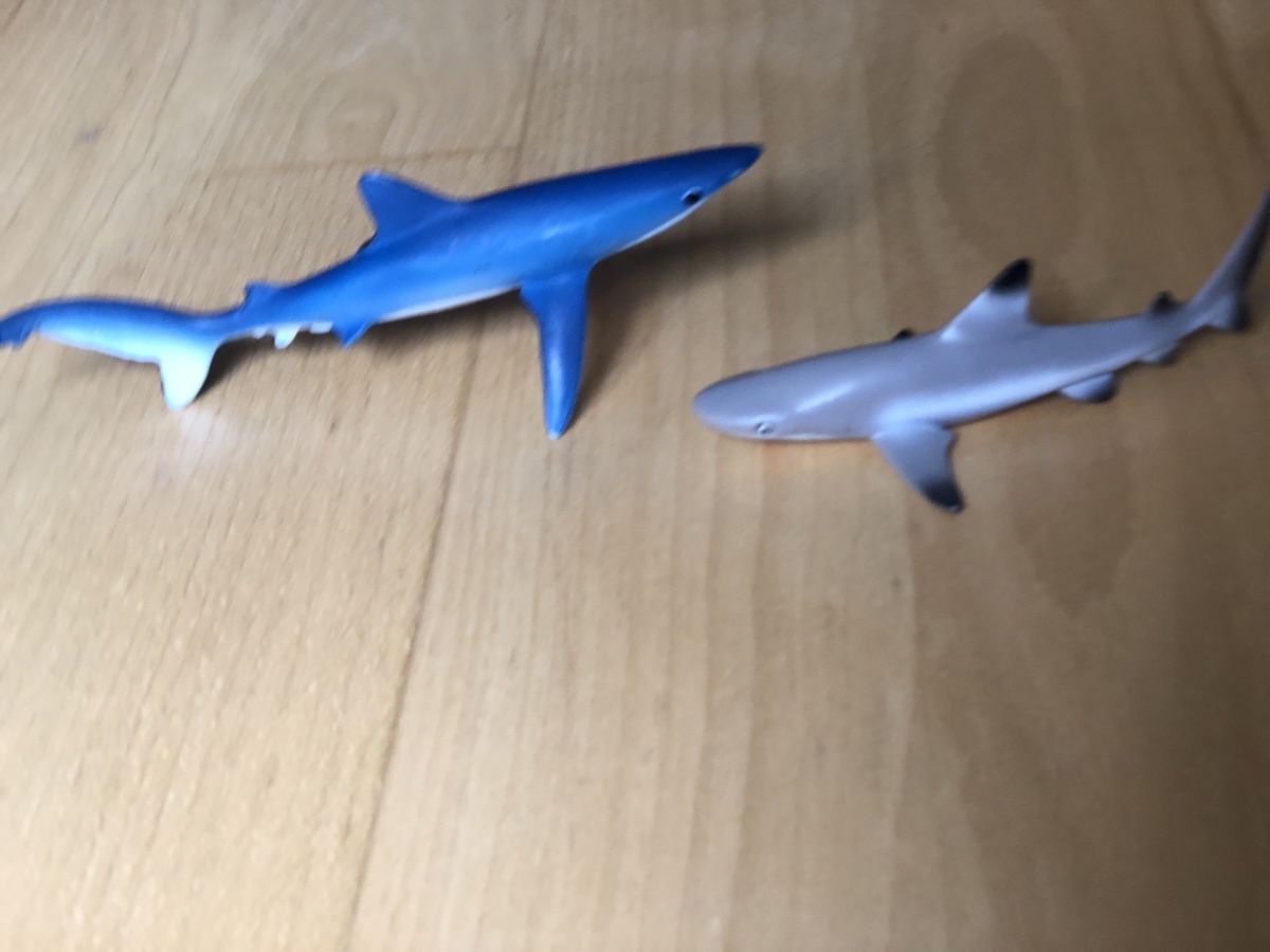 Schleich Giocattoli: Schleich requin – Usato da La Tour-de-Peilz venduto da zazen33