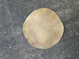Trommelfell, Stier Trommelhaut 45 cm 1,5 mm (Nr.60)