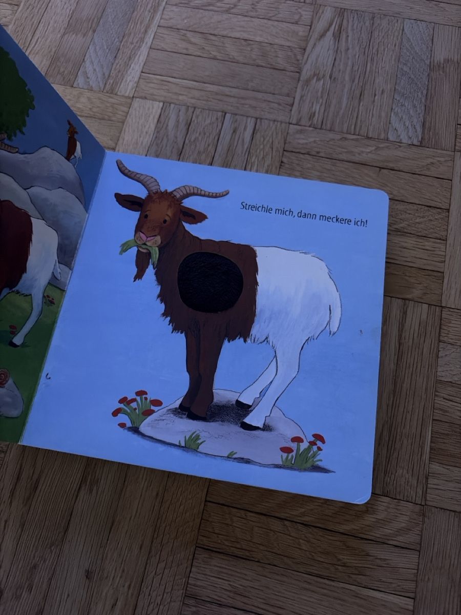 Libri: Streichle mich, dann wiehere ich – Usato da Au ZH venduto da schneebi88 4