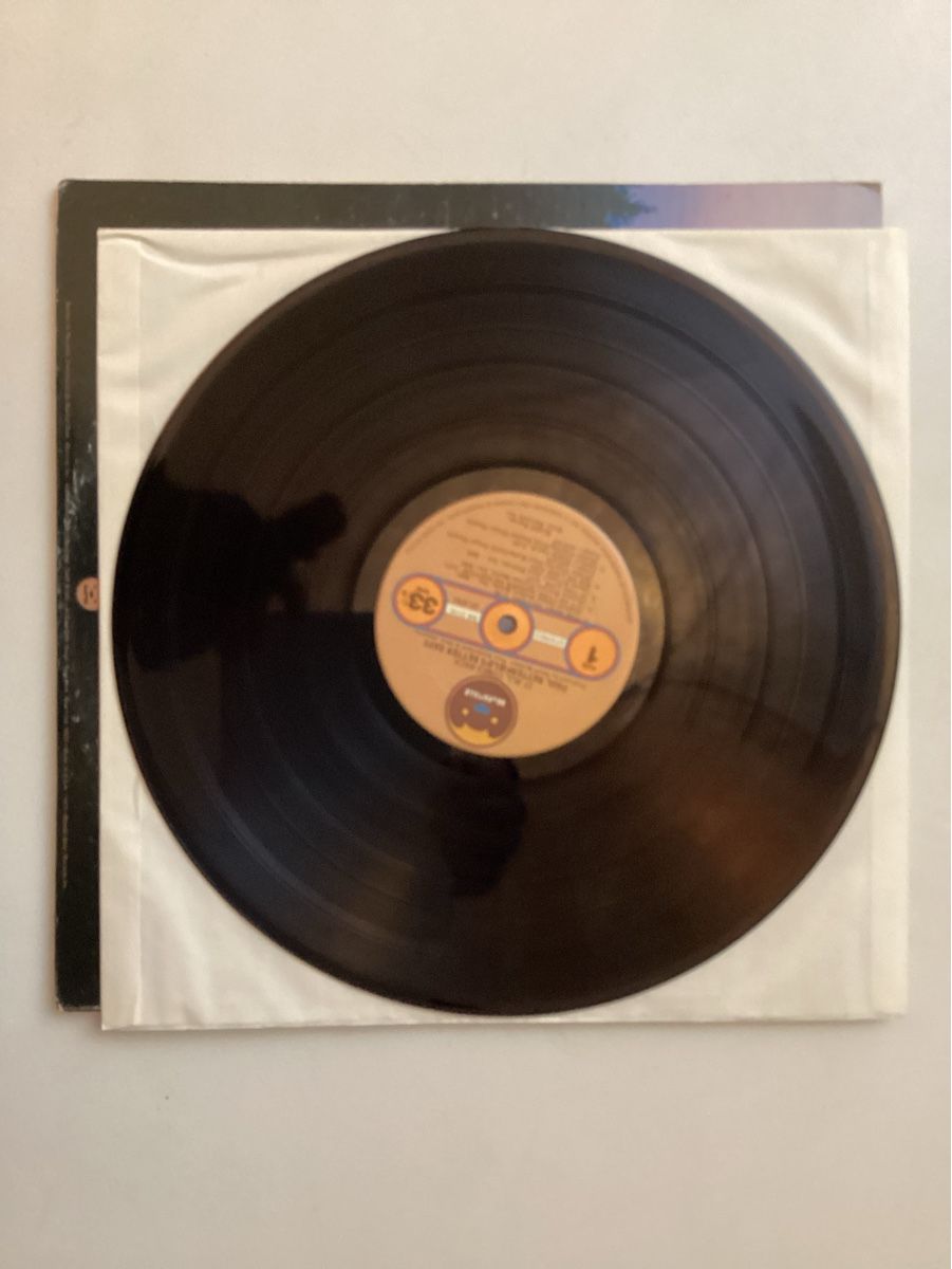Dischi in vinile: Paul Butterfield - 1973 – Usato da Zürich venduto da Rockbyrd 3