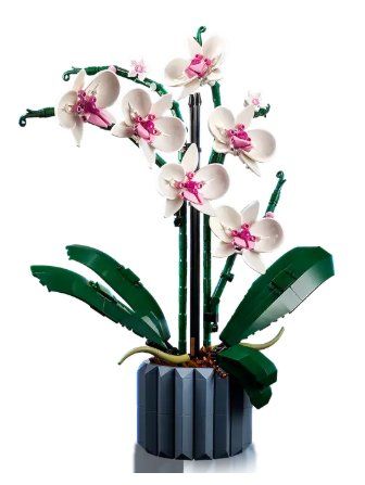 Lego Baukästen: Lego 10311 - Icons Orchid – Neu und originalverpackt aus Winterthur von Binboklem 2