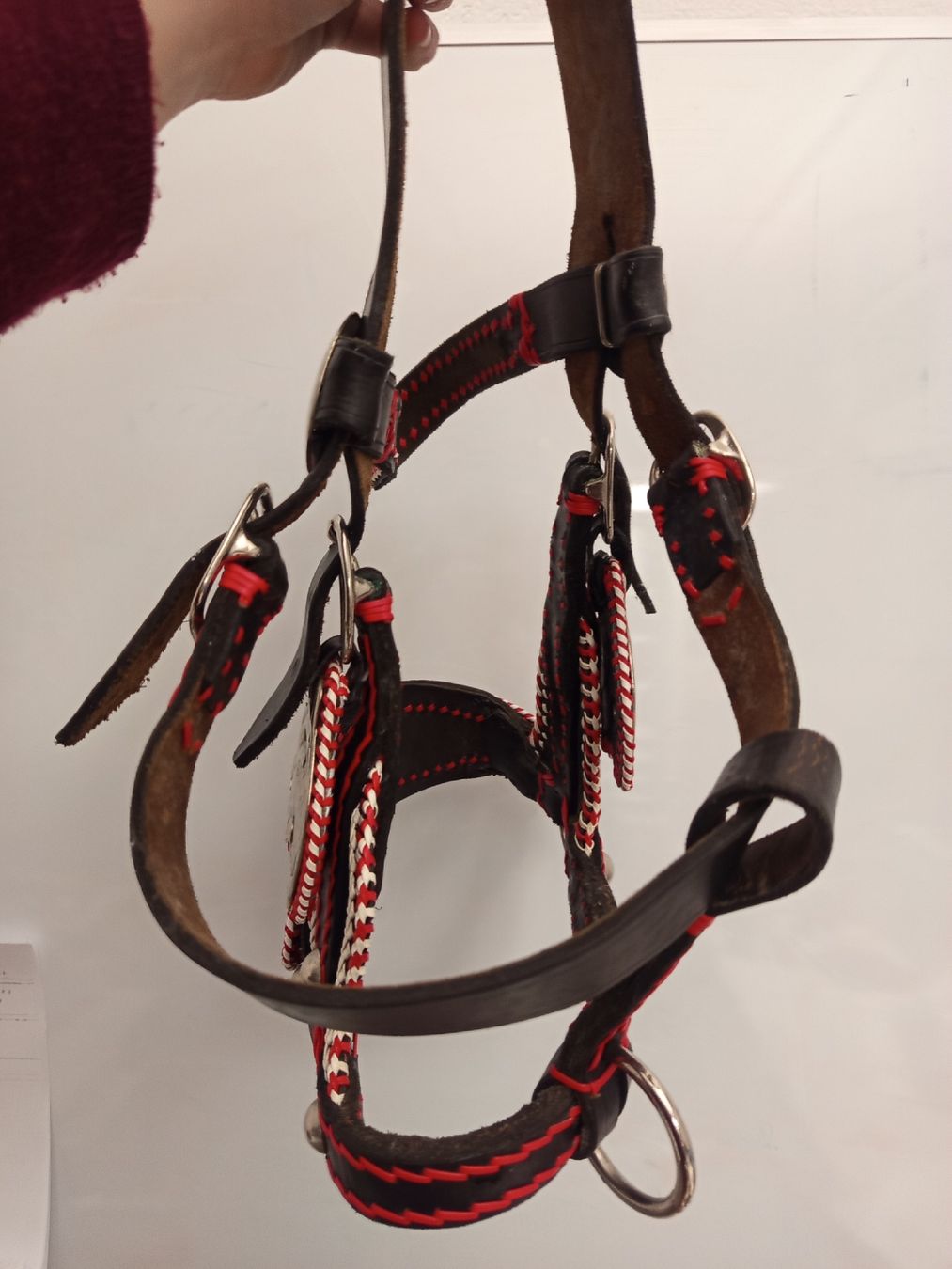 Briglie & Cavezze: Schow- Zier- Halfter, dickes Leder – Usato da Neyruz FR venduto da pri_gz79 3