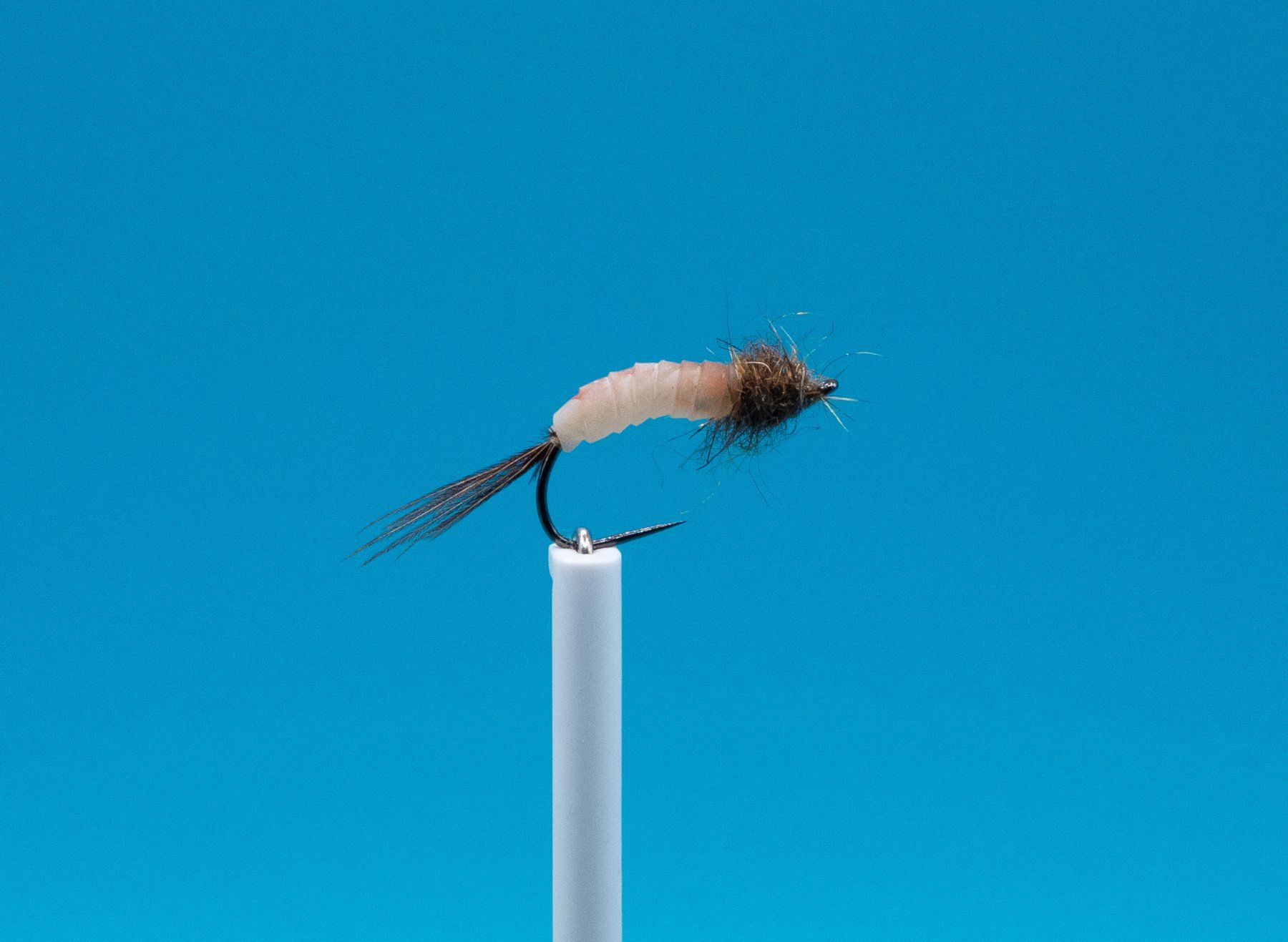 Esche: 20 verschiedene Fliegen und Nymphen – Nuovo e nell'imballaggio originale da Grenchen venduto da firefly2000 8