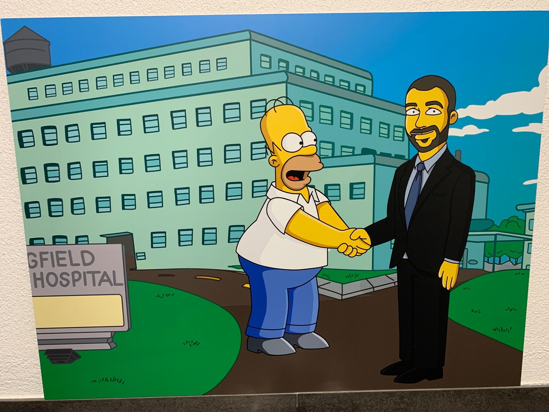Foto & Immagini: Die Simpsons Druck auf Aluminium – Usato da Bennwil venduto da escape39