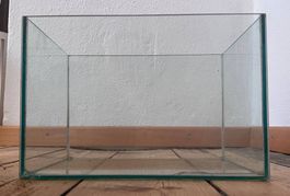 Kompaktes Terrarium für Insekten, Spinnen, Pflanzen