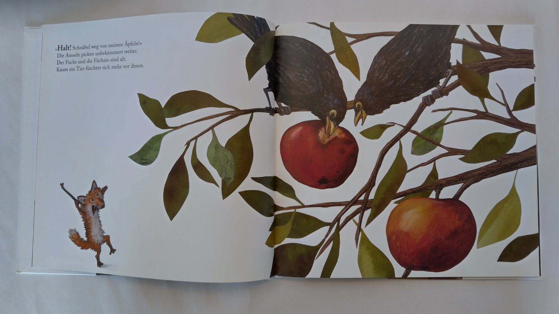 Libri: Kathrin Schärer - Der Tod auf dem Apfelbaum / Bilderbuch – Usato da Bellach venduto da JingleJerry 4