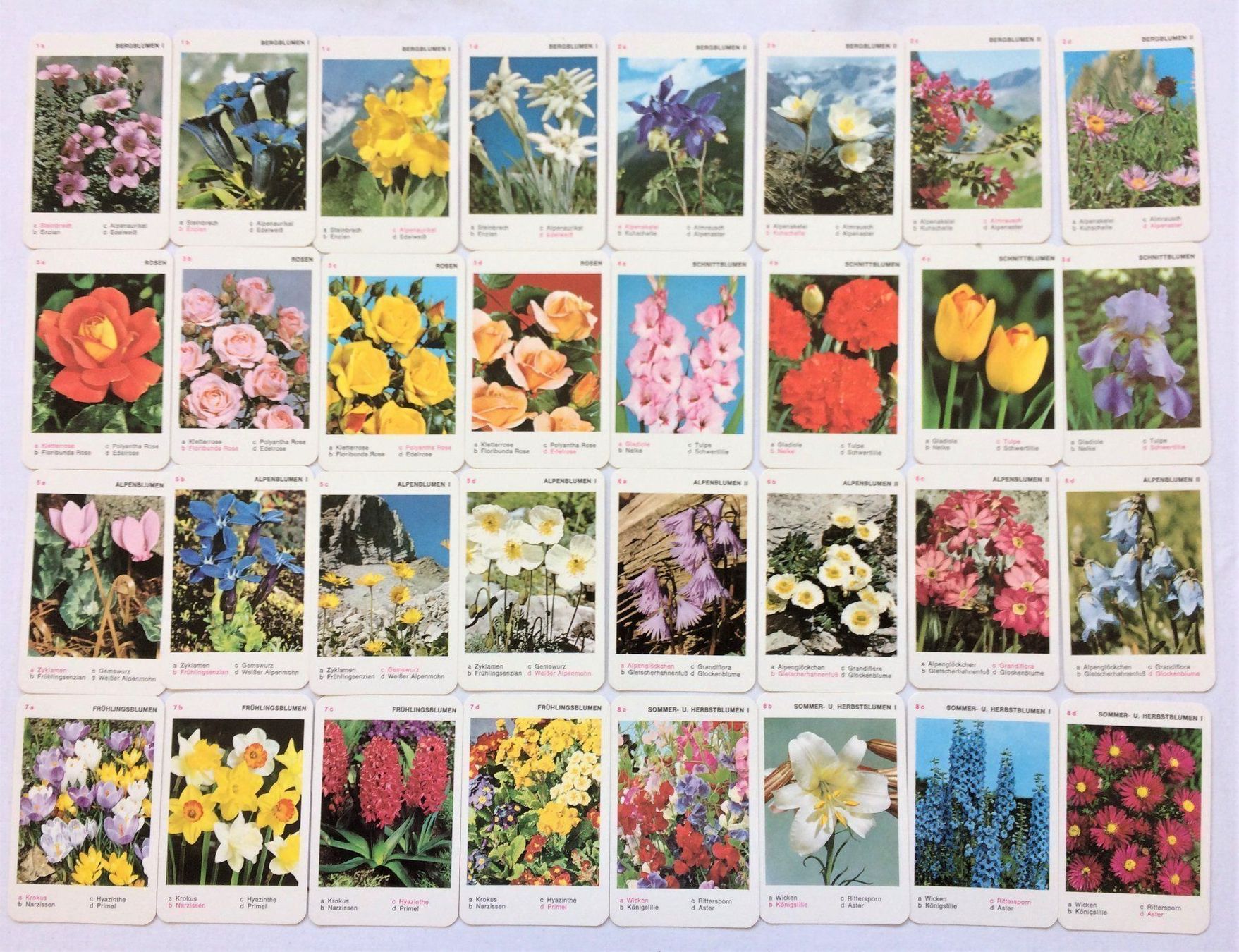 Spiele: Quartett - Bunte Welt - Blumen - Piatnik – Gebraucht aus Schaffhausen von durruti 3